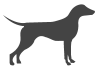 Mobile Hundeschule Kaya